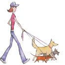 paddywhackdogwalkers.com