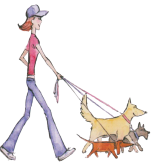 paddywhackdogwalkers.com